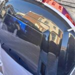 Type-DP Carbon Fiber Demon Style Hood